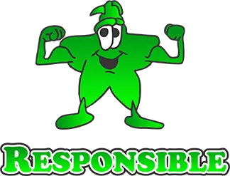 VISION VALUES MAIDENS PARK PRIMARY SCHOOL 2 VISION VALUES MAIDENS PARK PRIMARY SCHOOL