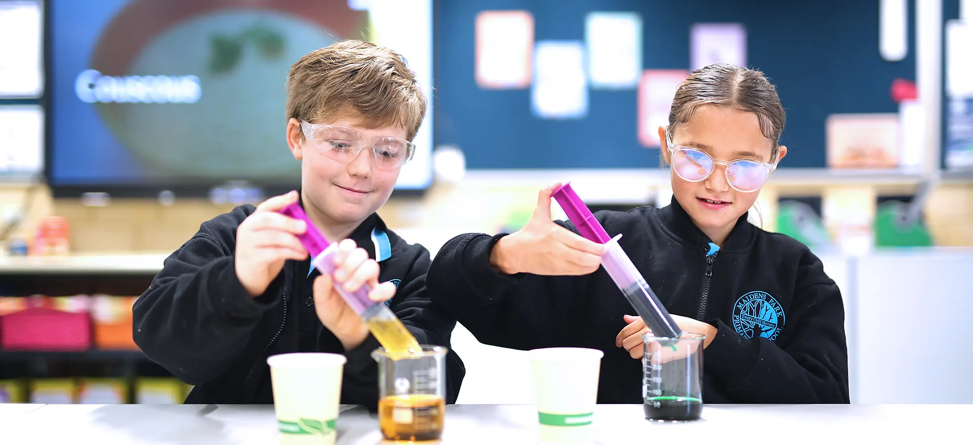 MAIDENS PARK PRIMARY SCHOOL